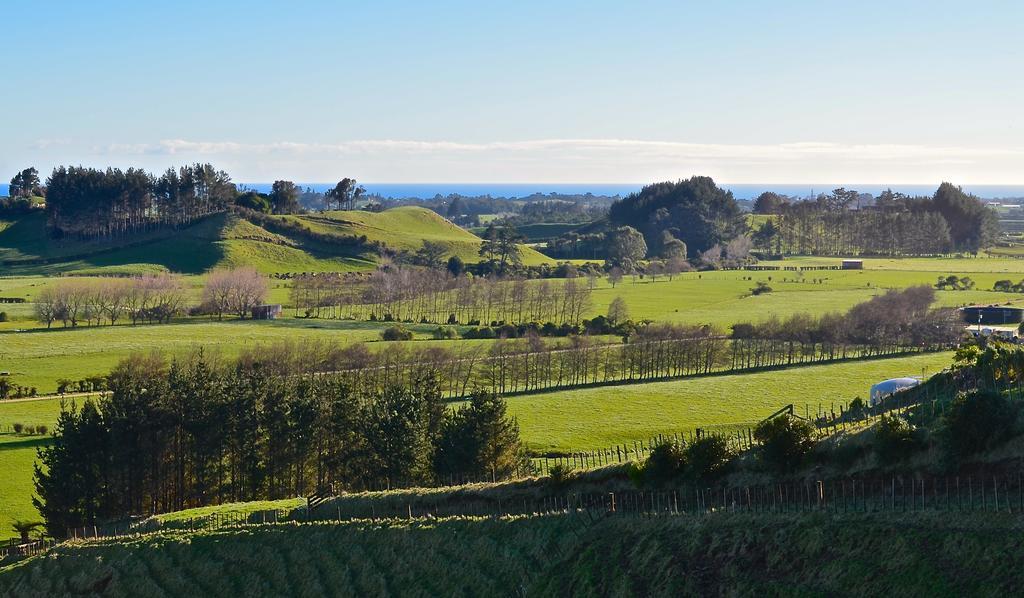 A Touch Of Tuscany At Hillsborough New Plymouth Zewnętrze zdjęcie