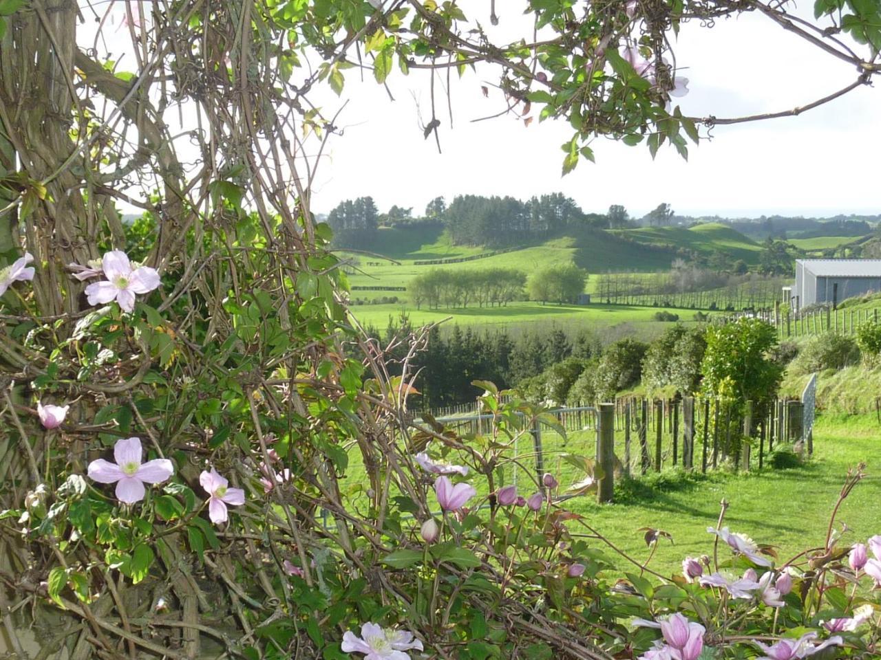 A Touch Of Tuscany At Hillsborough New Plymouth Zewnętrze zdjęcie